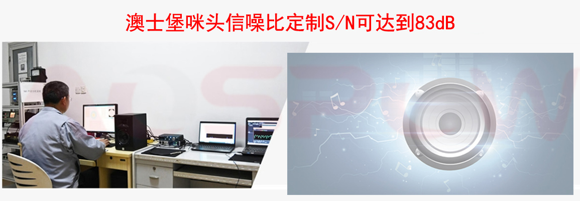 澳士堡咪頭信噪比定制.jpg